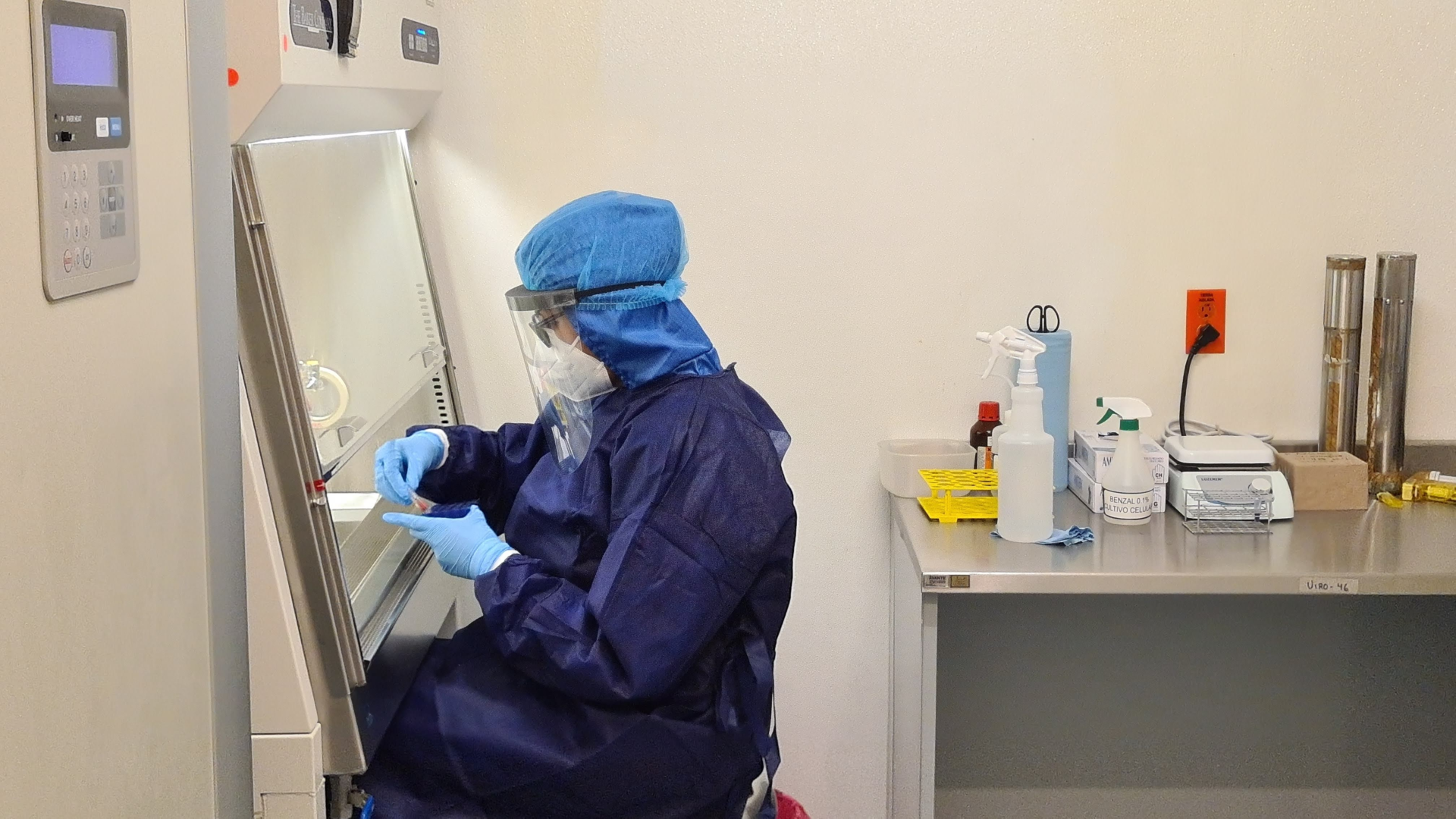 Estudiante del Cibior gana premio internacional por investigación r elacionada a autofagia y células de cáncer de mama: IMSS en Puebla