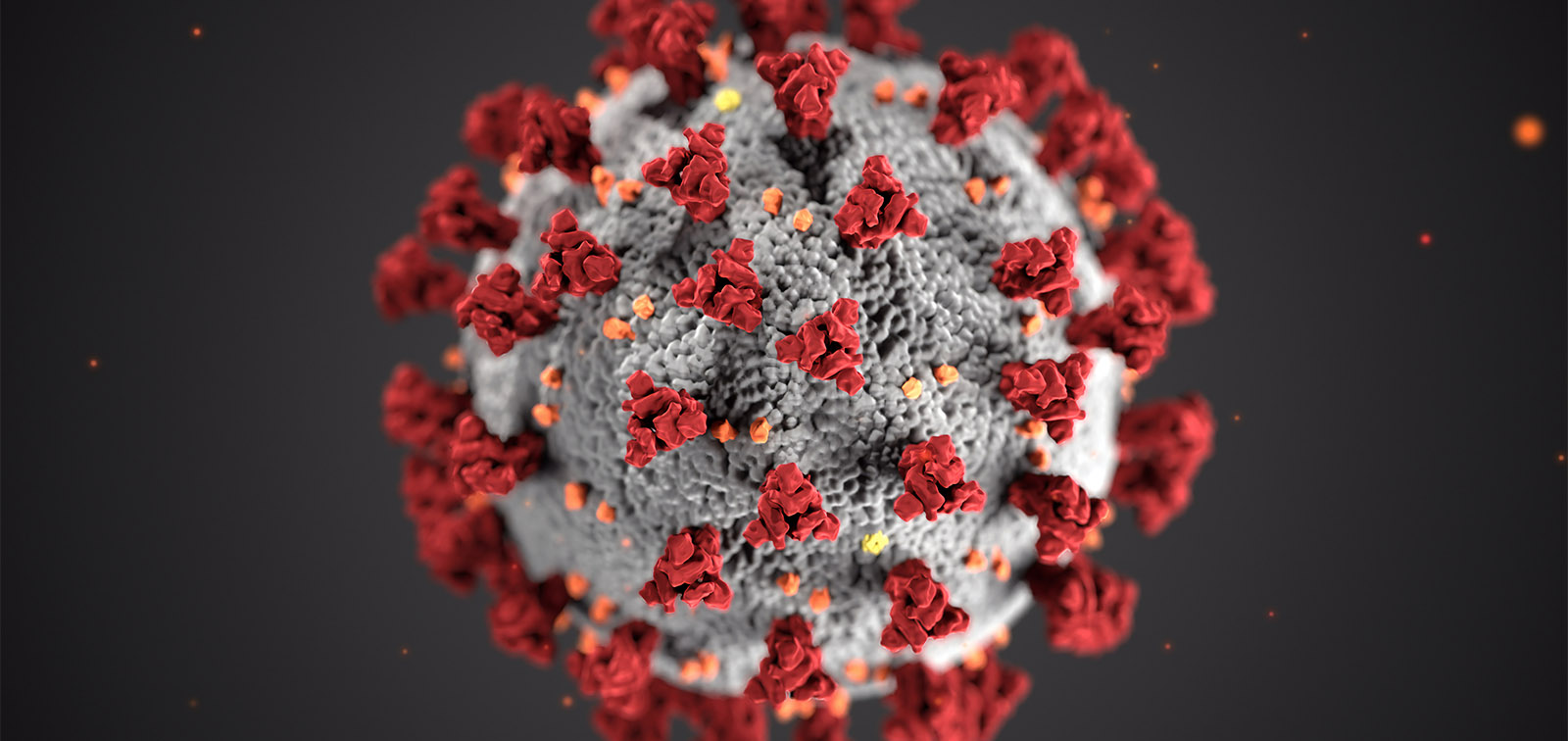 EN LAS NUBES. Nos dicen de San José y del coronavirus, que sigue