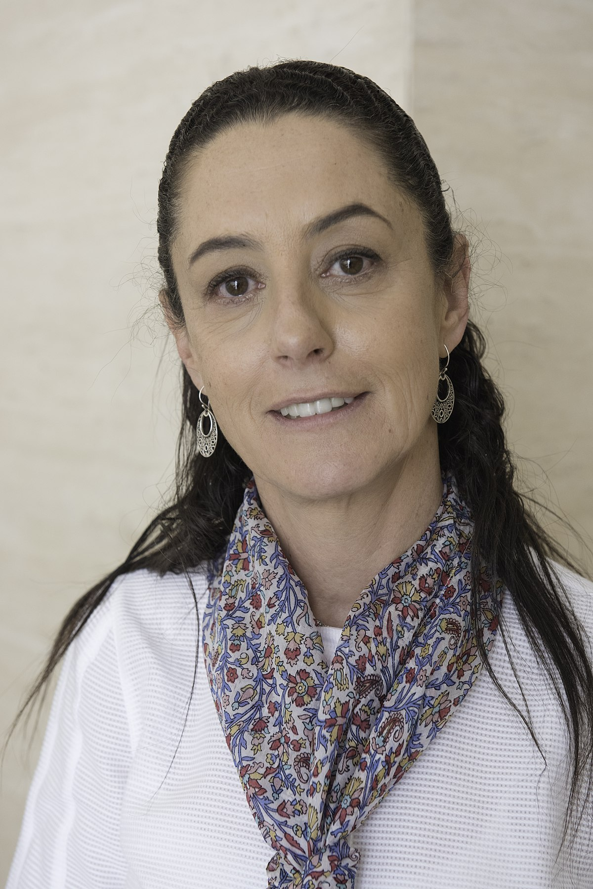 CONJETURAS. ¿Claudia Sheinbaum o Cresencio Sandoval?