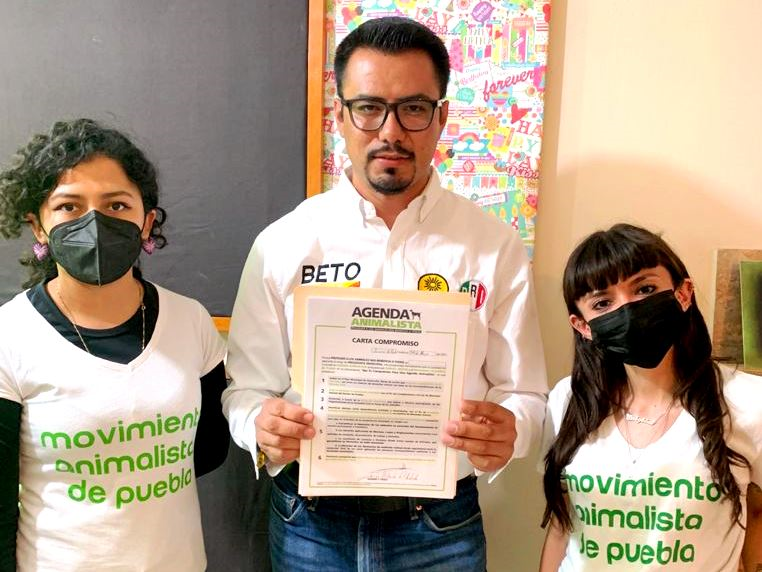 Firma Beto Gil compromiso para el cuidado de animales
