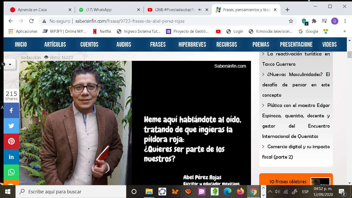 Abel Pérez Rojas. Oleaje reminiscente