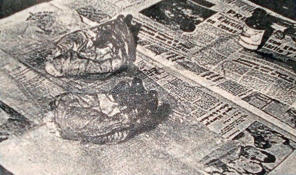 SIN LÍMITES. El corte de manos al Che Guevara