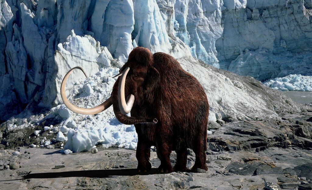 SIN LÍMITES. ¿Parque Jurásico con un mamut?