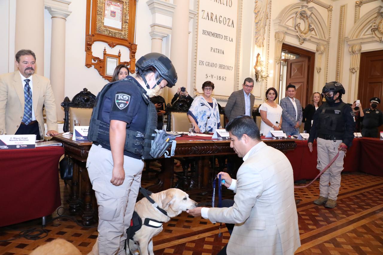 Se jubilan con honores 16 perros policía que sirvieron fielmente por más de siete años