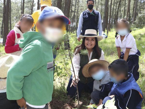 Inicia Medio Ambiente campaña de reforestación; serán plantados 250 mil árboles