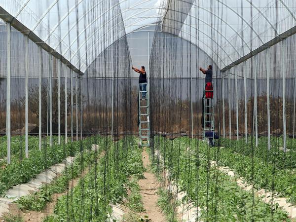 Impulsa SDR créditos para 257 medianas empresas agroalimentarias