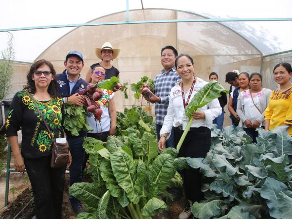 Logran beneficiarias de programa Alimentario segunda cosecha de verduras en Tetela: Bienestar