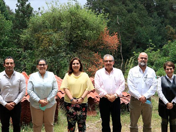 Restauración de Sierra Norte con 21 mil árboles, anuncia Medio Ambiente