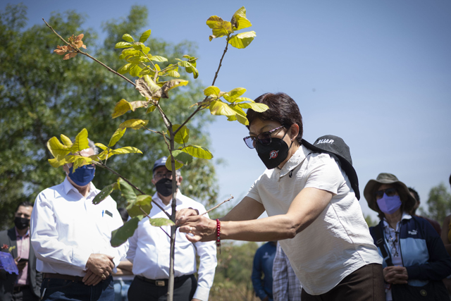 Celebra la Rectora Lilia Cedillo Ramírez 35 años del Jardín Botánico Universitario