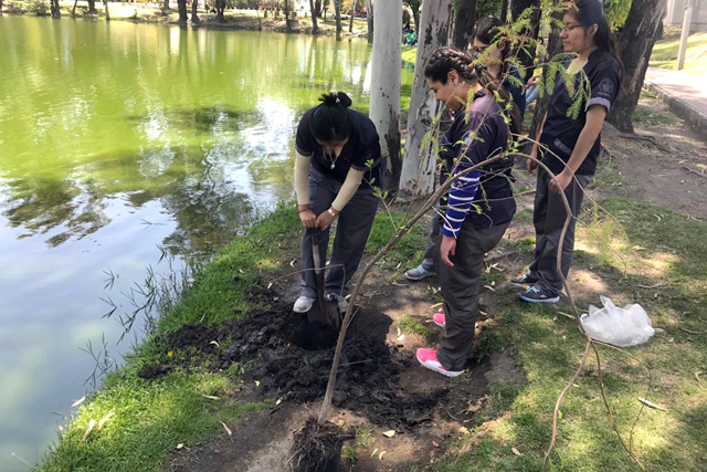 Con acciones de reforestación, la BUAP promueve una universidad verde