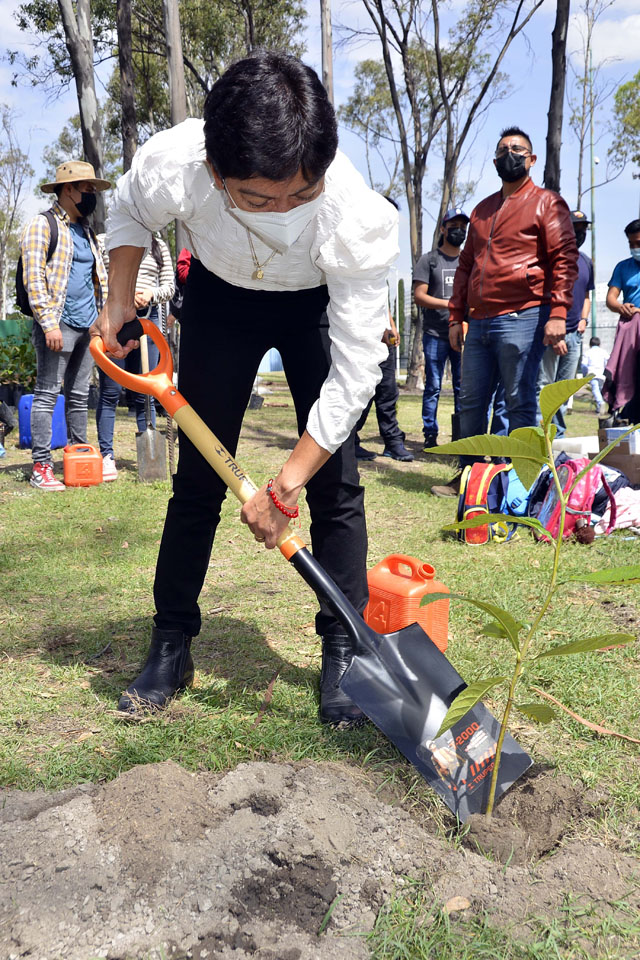 Encabeza la Rectora Lilia Cedillo jornada simultánea de reforestación