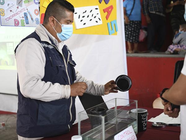Exhorta Salud a poblanos mantener cuidados para prevenir enfermedad de Chagas