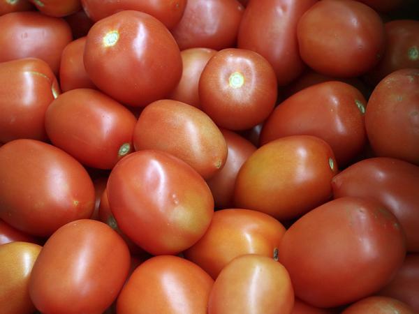Inicia SDR ciclo de exportación de tomate de la Sierra Norte a Estados Unidos