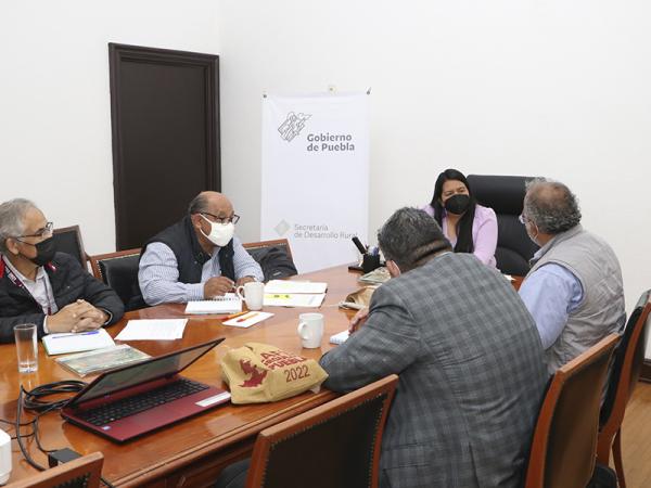Registrará SDR nueva variedad de crisantemo para productores poblanos
