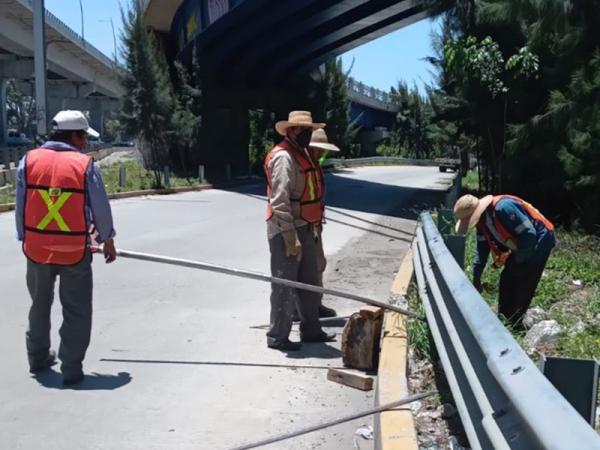 Realiza Secretaría de Infraestructura mantenimiento a carreteras estatales