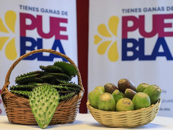 Invita Acatzingo a Feria de la Tuna y el Nopal