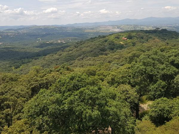 Reafirma gobierno estatal compromiso con medio ambiente; protege 859 hectáreas más en “Flor del Bosque”