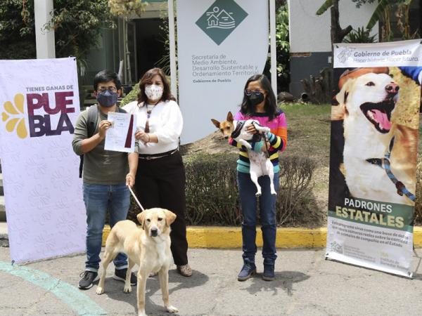Tras ser objeto de crueldad animal, Medio Ambiente entrega en adopción a tres canes