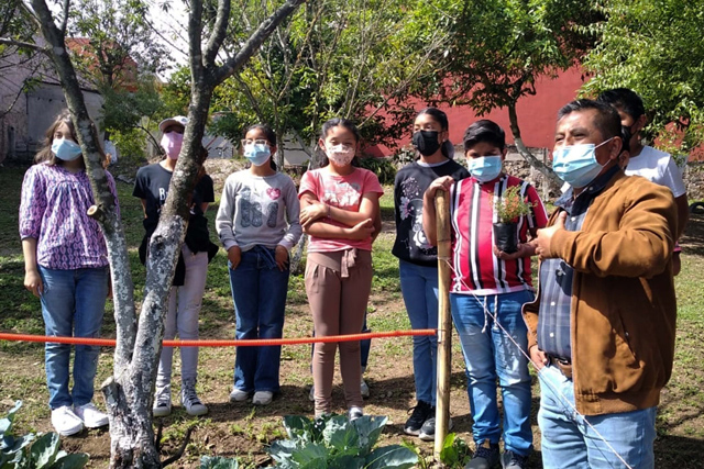 Impulsa la Facultad de Ciencias Agrícolas y Pecuarias de la BUAP el proyecto de Huertos Escolares