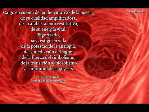 SABERSINFIN. Poesía para cuando las palabras no alcanzan