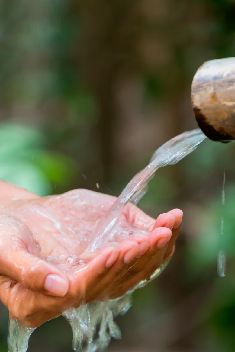 Agenda Empresarial. Lo Único Real es que el Agua Cuesta más