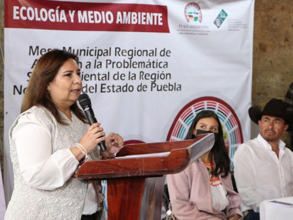 Exhorta Medio Ambiente a ayuntamientos de sierras Norte y Nororiental conformar programas de Ordenamiento