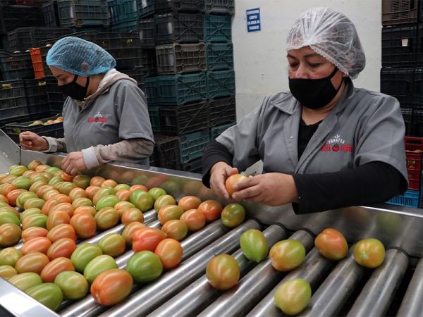 En primer trimestre 2022, crecen exportaciones de Puebla: Economía
