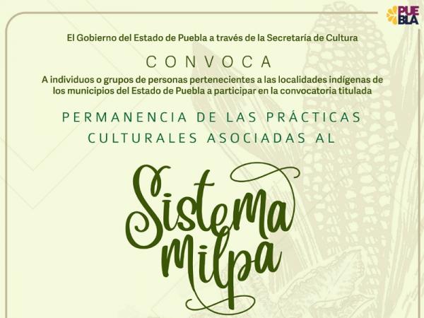 Emite Cultura convocatoria para productores de milpas de localidades indígenas