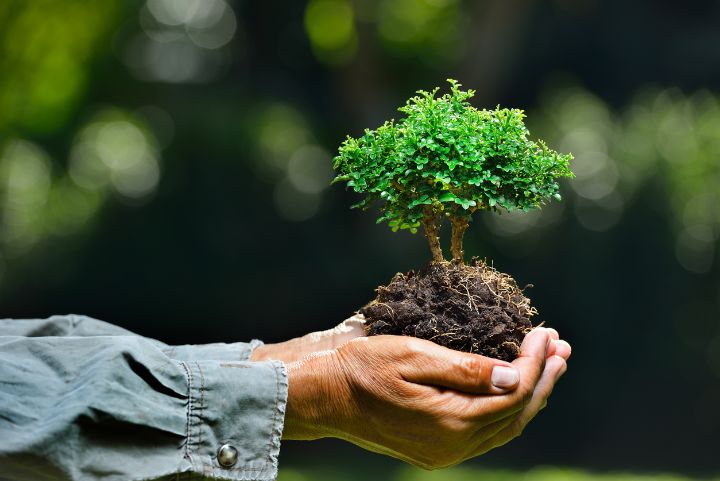 Concientización y gestionar los recursos de manera responsable, disminuirán el cambio climático