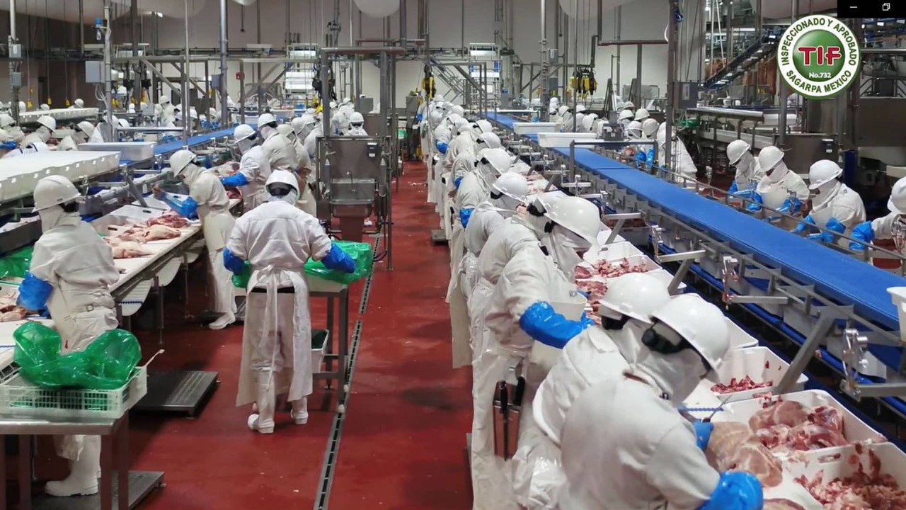 Planta Procesadora de Carne de Cerdo de Granjas Carroll cumple 6 años con altos estándares de calidad