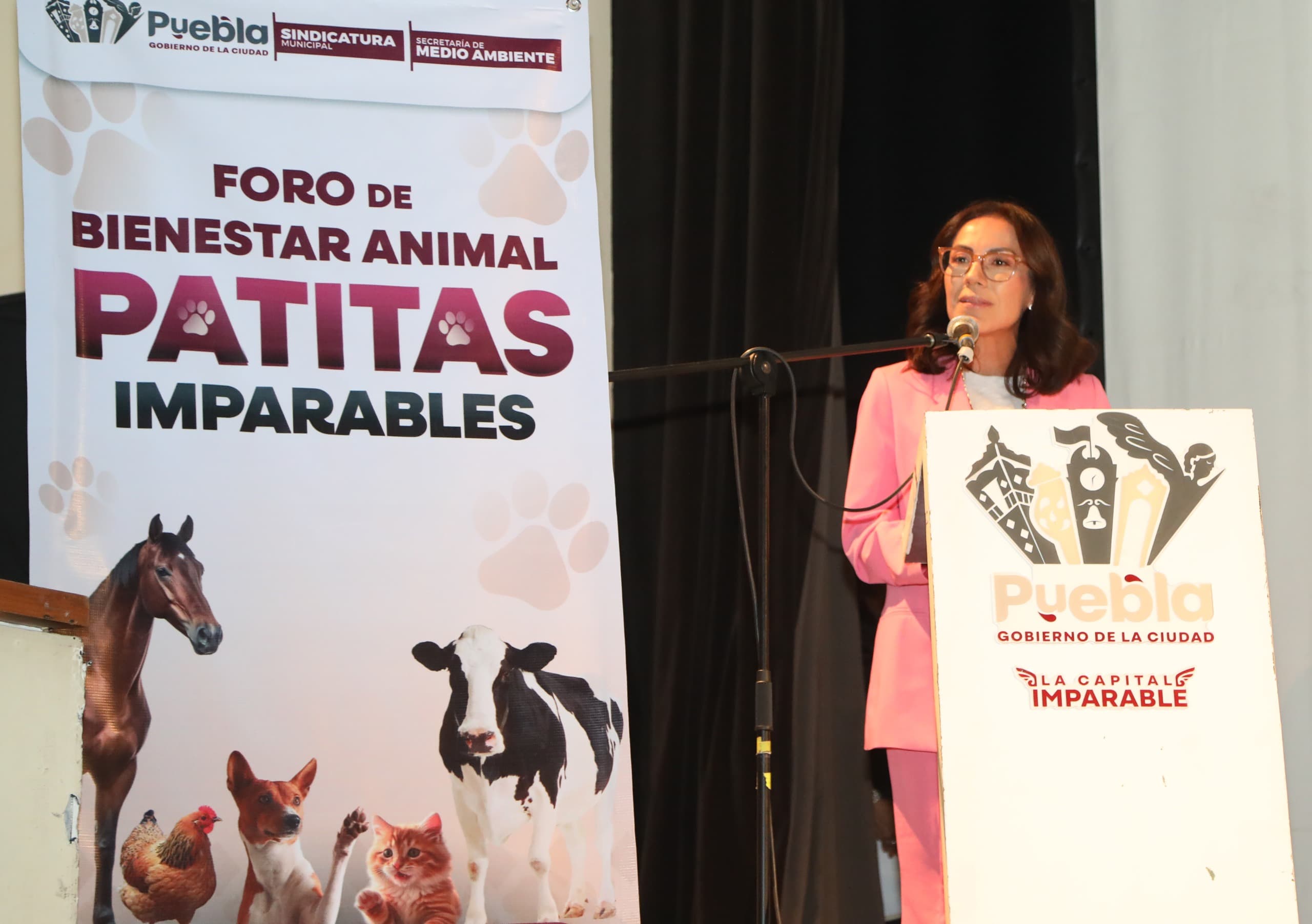 Por el bienestar animal el Gobierno de la Ciudad realizó el foro participativo «Patitas Imparables»