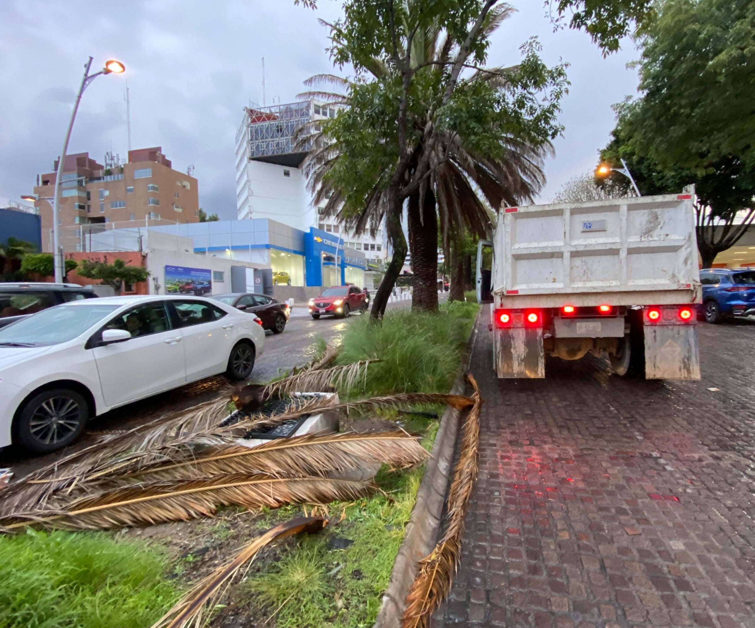Se realizó el retiro de árboles y postes de luz caídos para garantizar la seguridad de las y los ciudadanos
