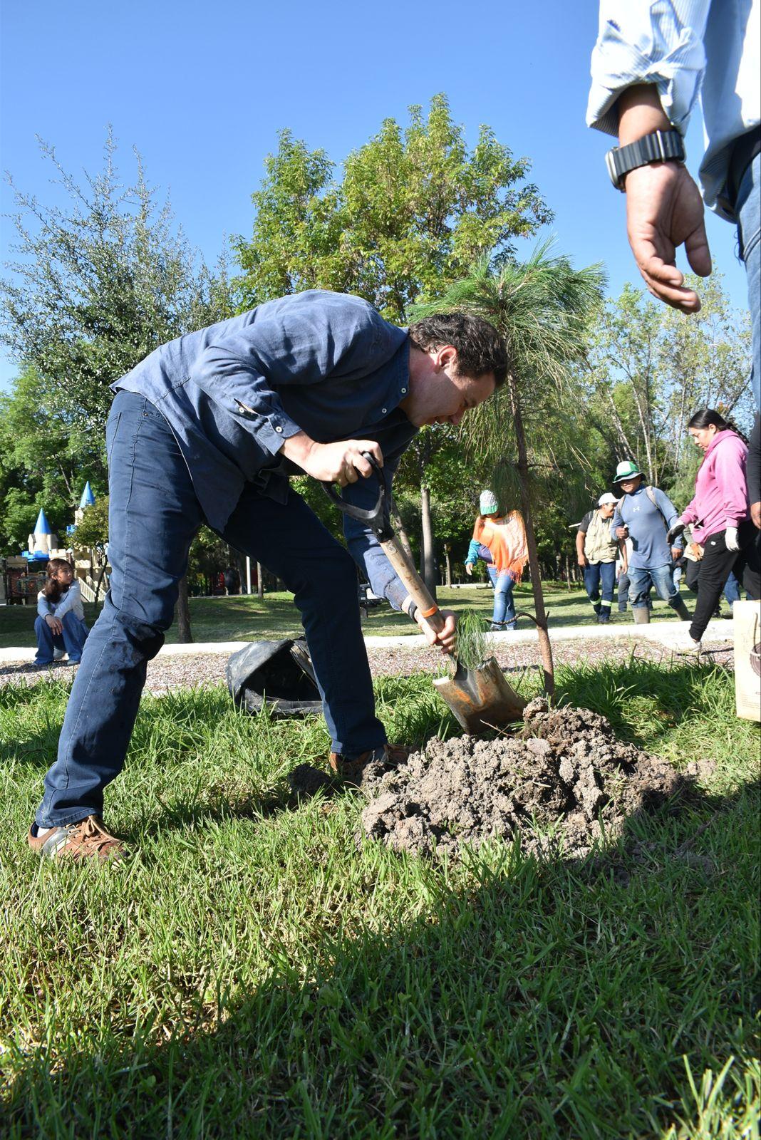 Con la siembra de más de 15 mil árboles, Agua de Puebla culmina con éxito su Programa de Reforestación 2025 “Siembra Vida”
