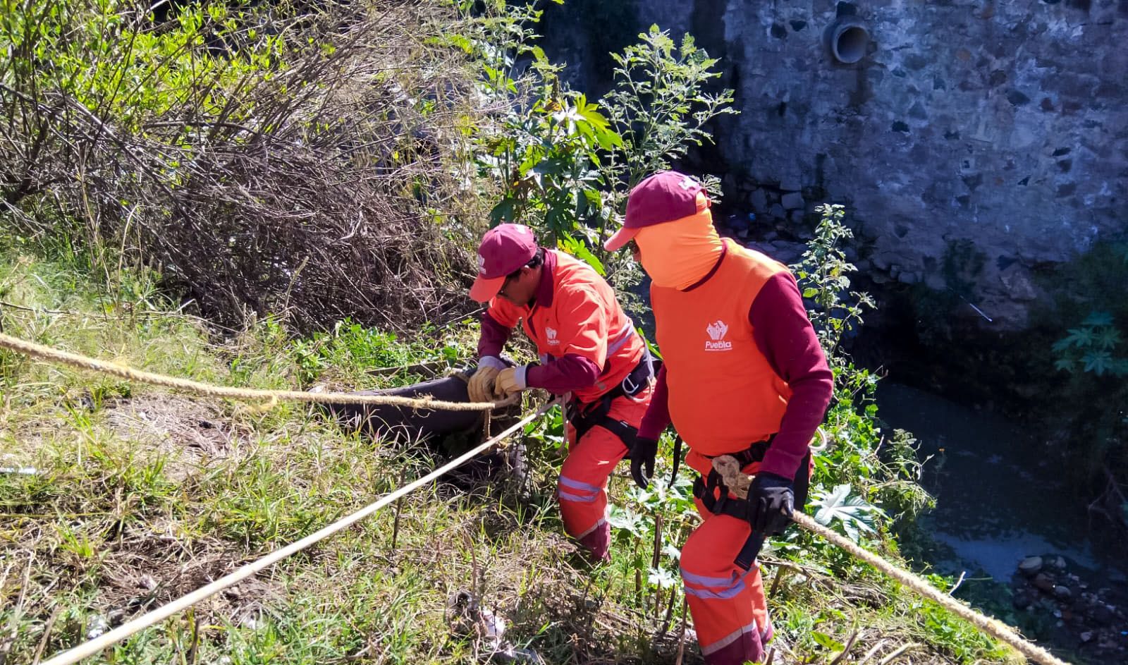 Gobierno de la Ciudad refuerza acciones de limpieza para prevenir inundaciones