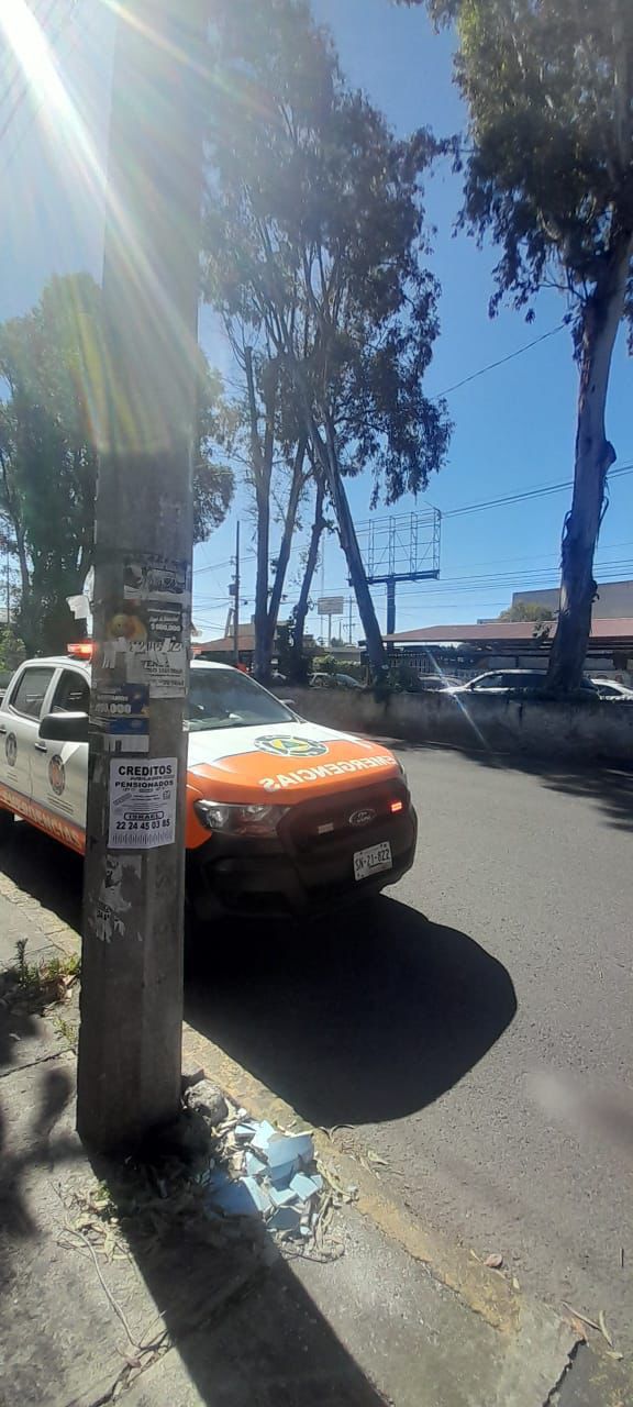 Atiende Protección Civil Municipal reportes de caída de árboles en diversas zonas de la ciudad