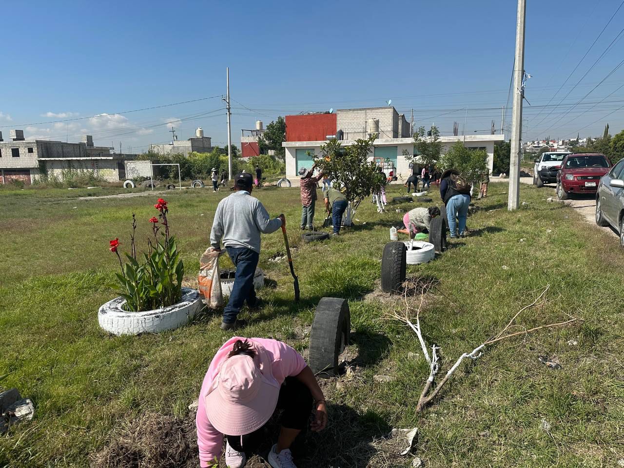 Fortalece Gobierno de la Ciudad acciones de reforestación con 2 mil 600 árboles