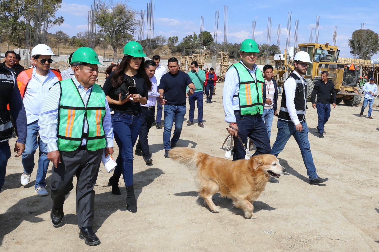 Seres sintientes requieren cuidado, no compras impulsivas: Gobierno de Puebla