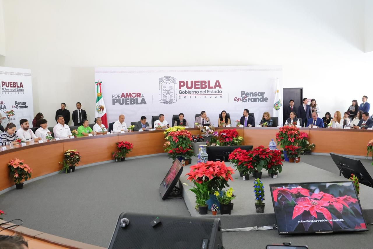 Gobierno de puebla impulsa producción de nochebuena como motor económico y turístico