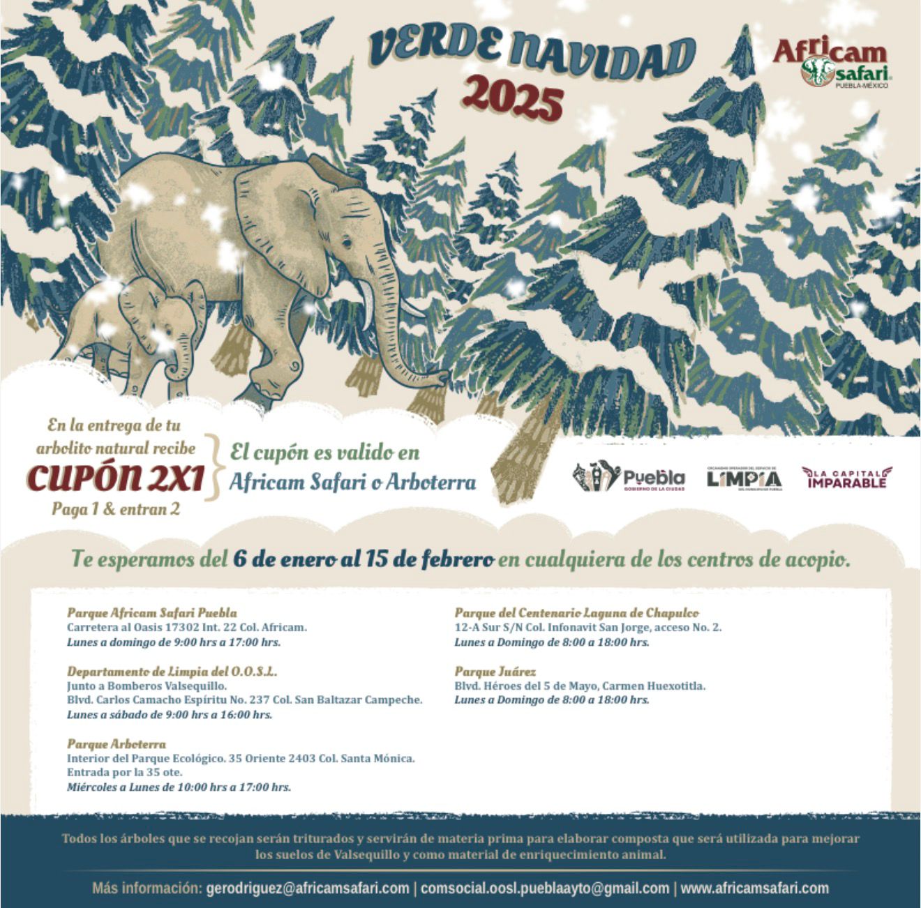 Gobierno de la Ciudad y Africam Safari inician campaña de reciclaje de árboles de Navidad