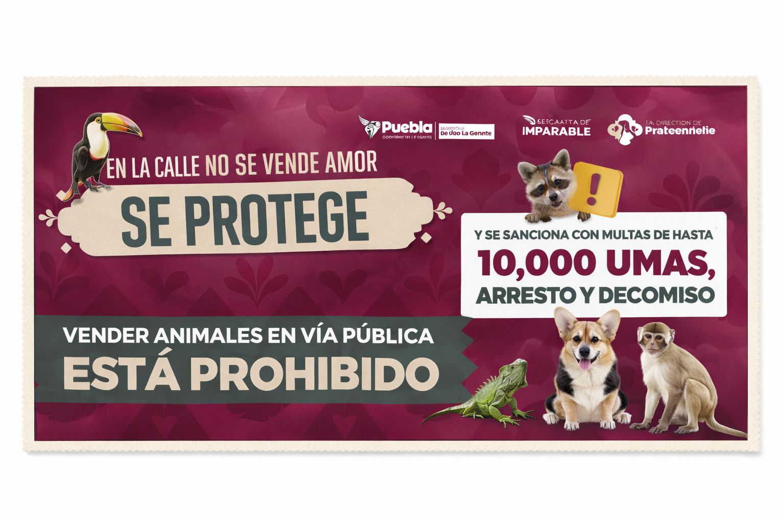 Se refuerzan acciones para regular venta de animales en vía pública por instrucciones de Pepe Chedraui