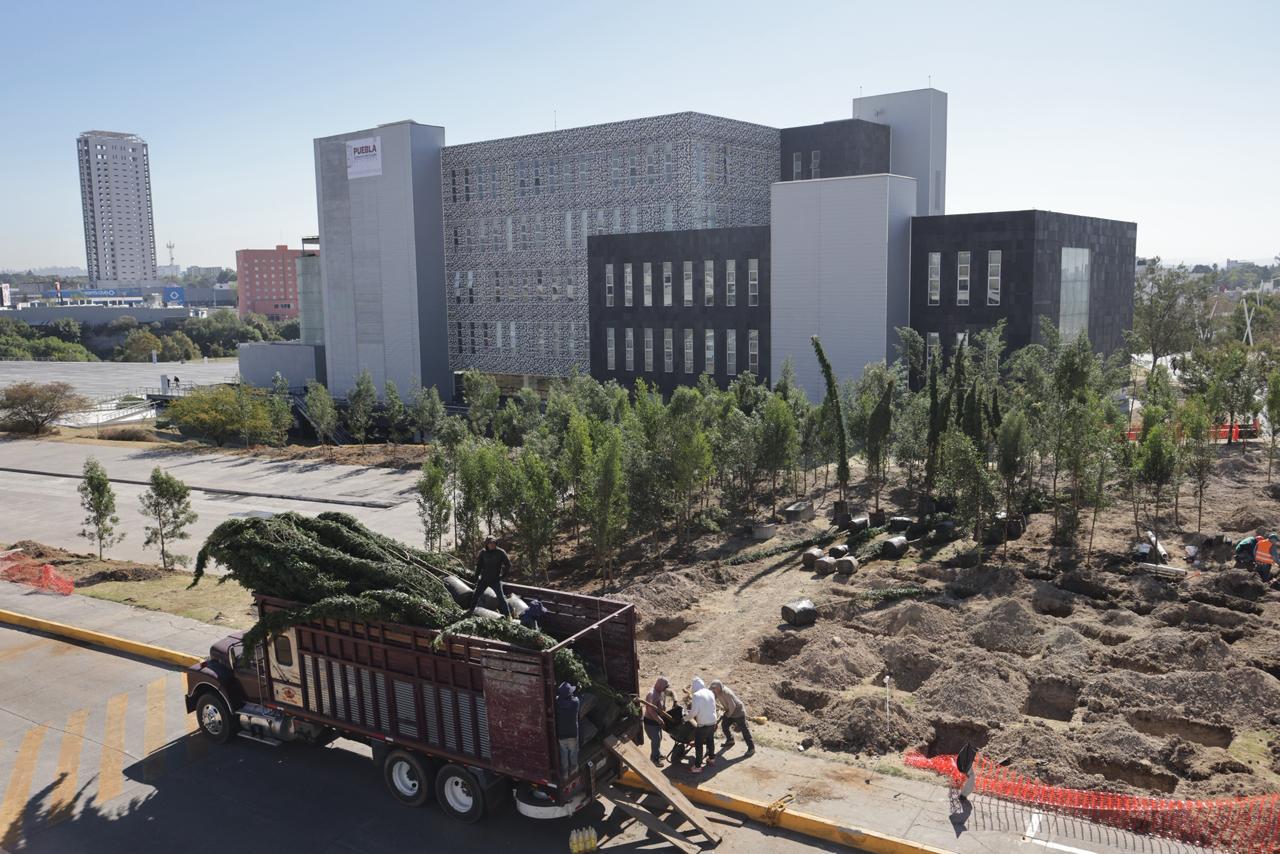 Inicia reforestación urbana en CIS y Parque Ecológico; la meta son 10 mil árboles