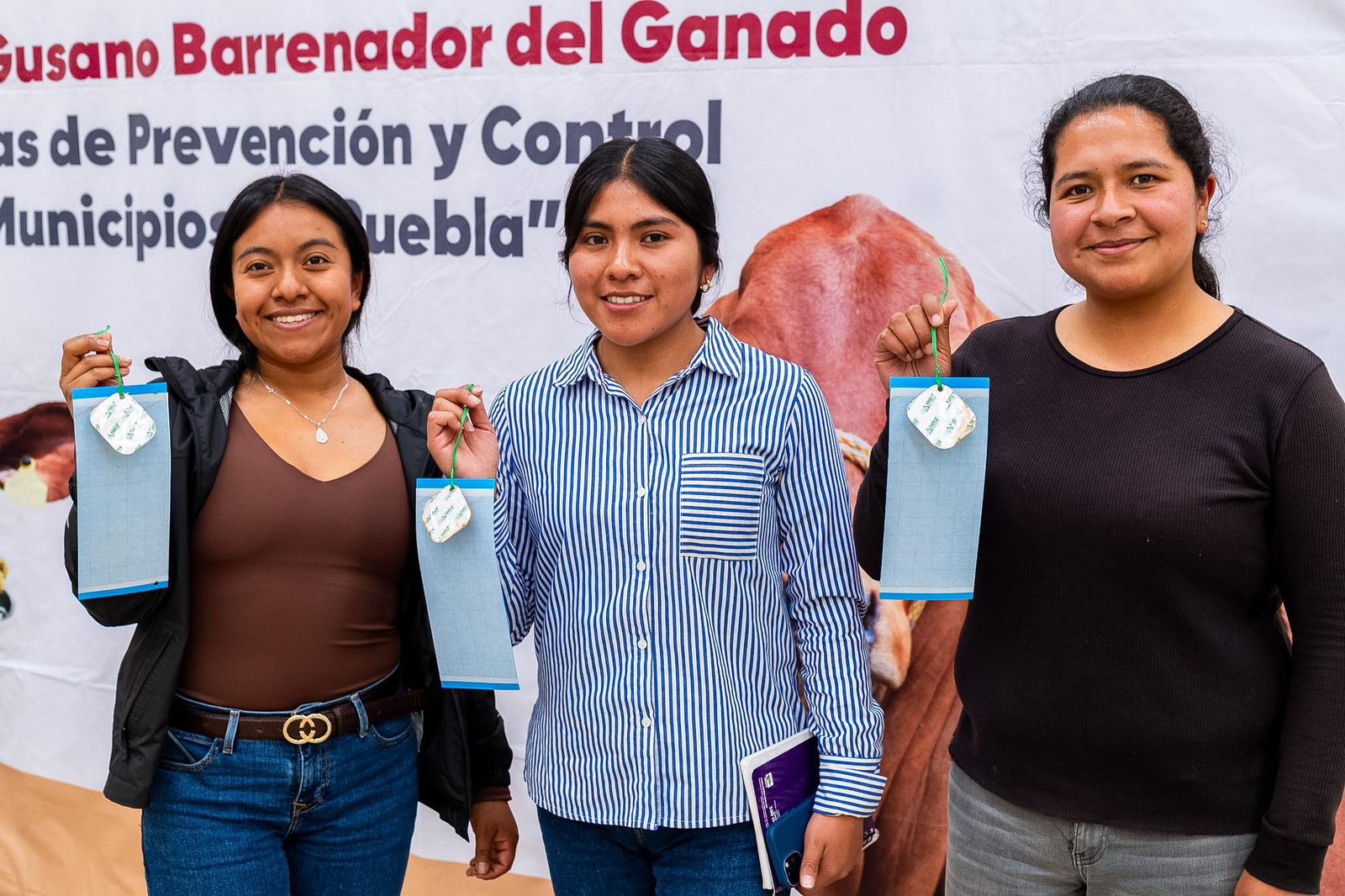 Refuerza Gobierno Estatal prevención del gusano barrenador en la Sierra Negra