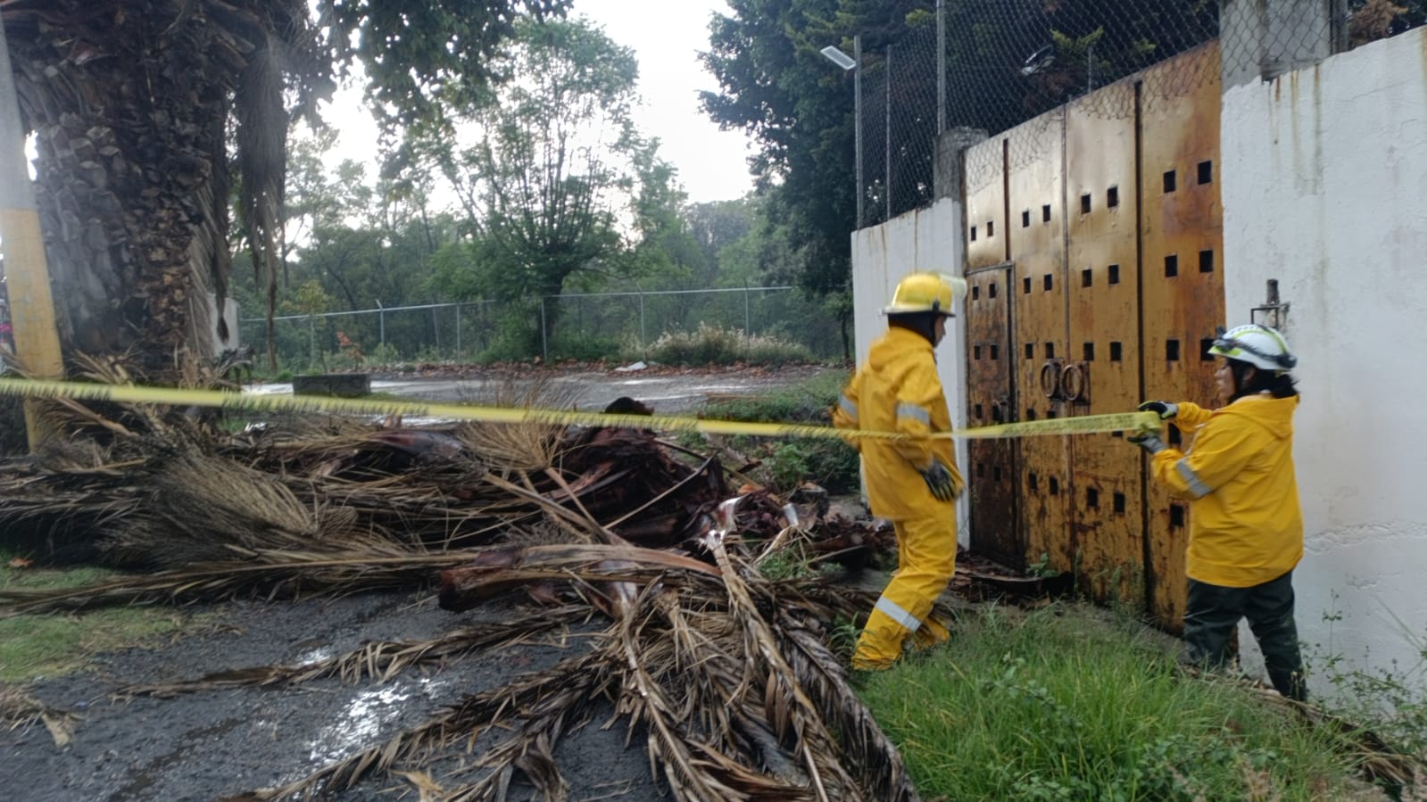Gobierno de Pepe Chedraui atiende incidencias por lluvias y vientos