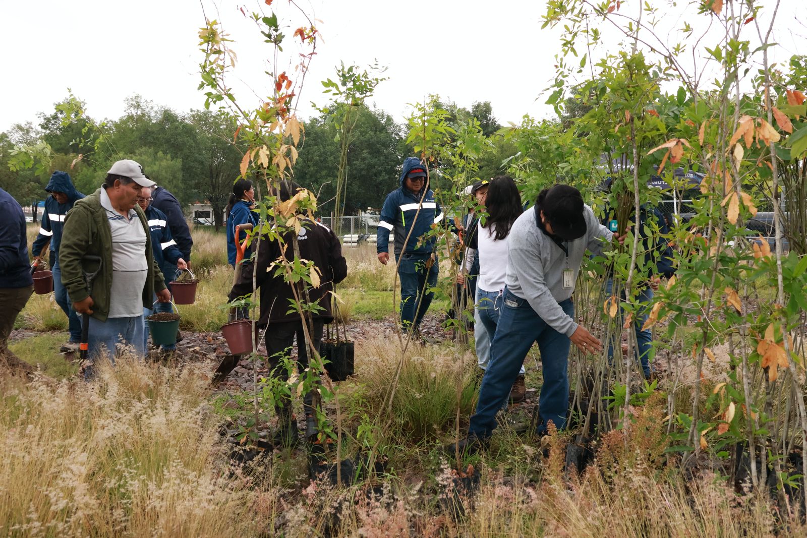 Agua de Puebla sembrará 3,500 árboles, para la recarga de mantos acuíferos; inició su Campaña de Reforestación 2026: “Arbolitros”
