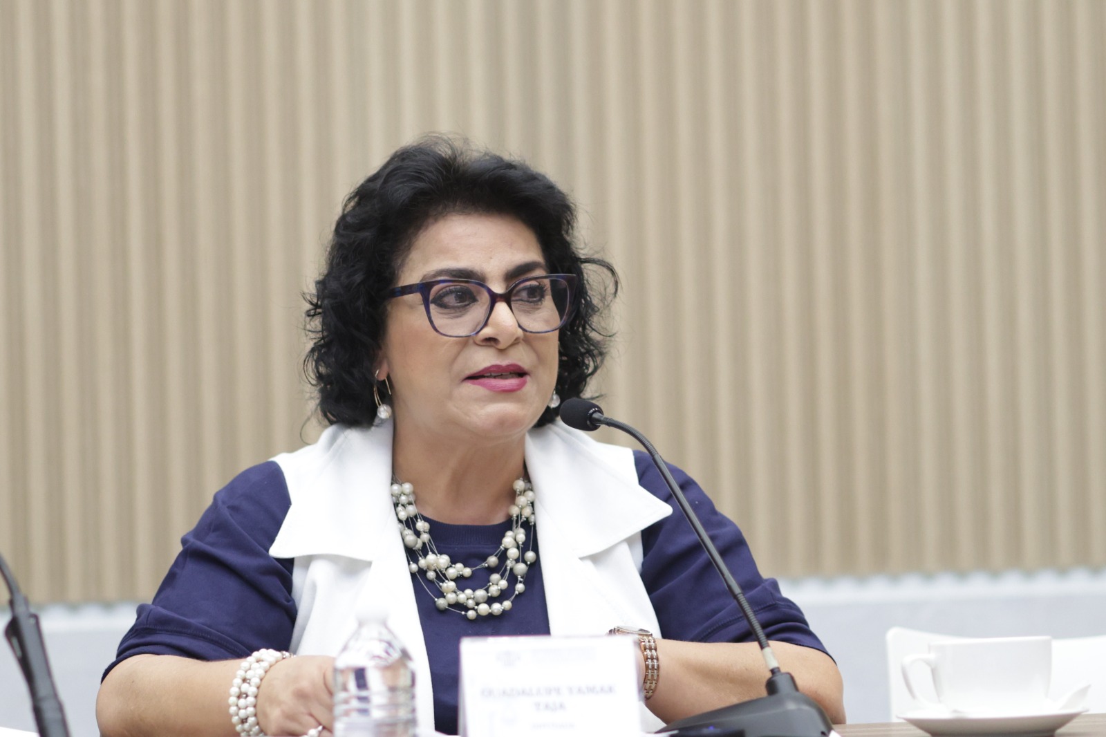 Impulsa diputada Guadalupe Yamak reformas en materia de protección civil en favor de las familias poblanas