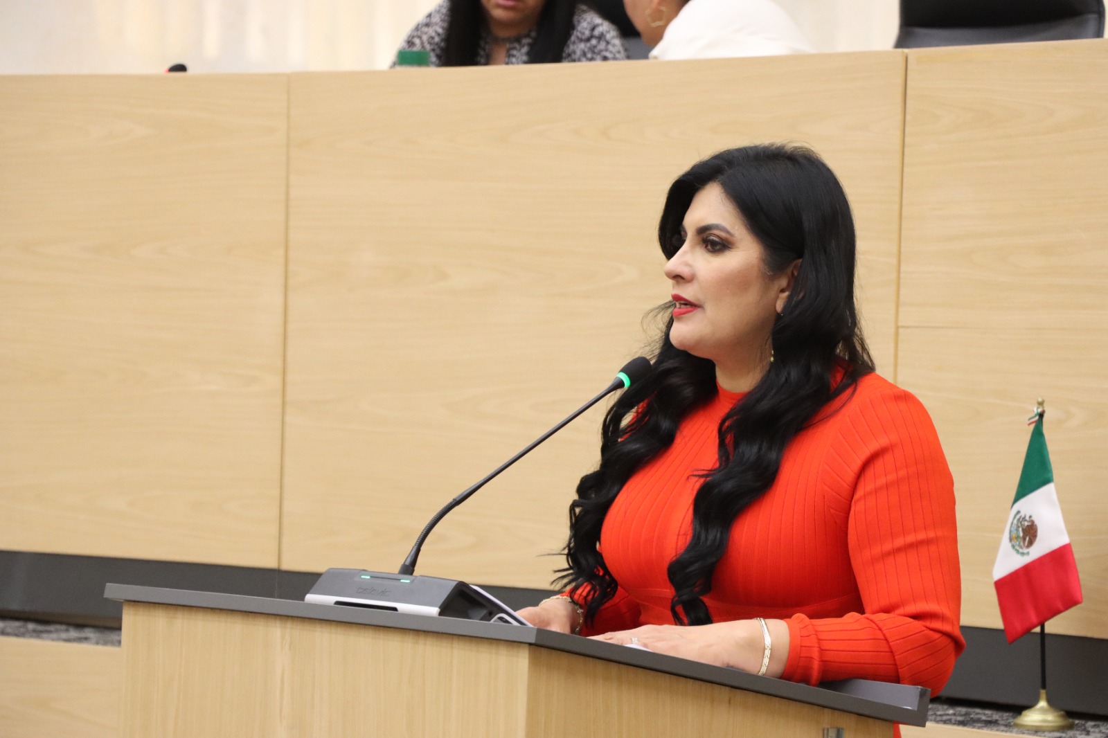Propone Delfina Pozos sancionar la simulación de delitos