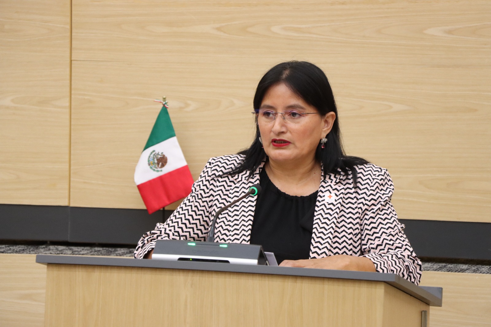 Propone Esther Martínez sancionar la negligencia extrema contra animales en Puebla