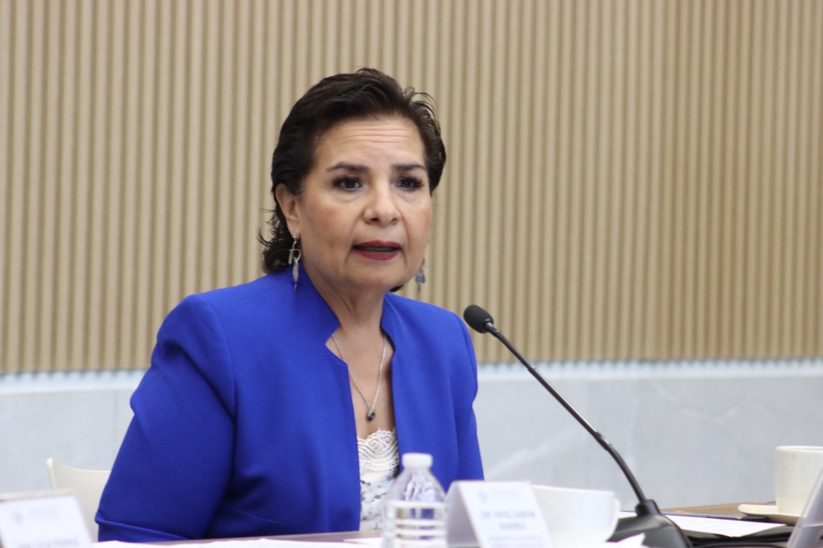 Promueve Beatriz Manrique agenda legislativa para fortalecer la acción en materia de cambio climático y economía circular