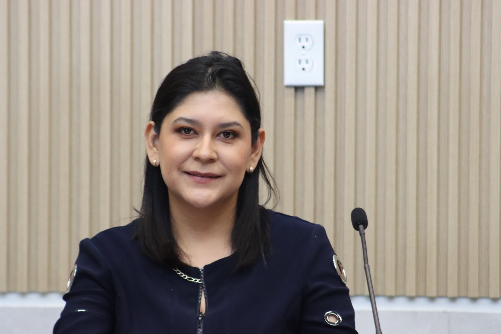 Propone Ana Lilia Tepole prohibir y sancionar el uso de armas simuladas para amenazar o cometer delitos