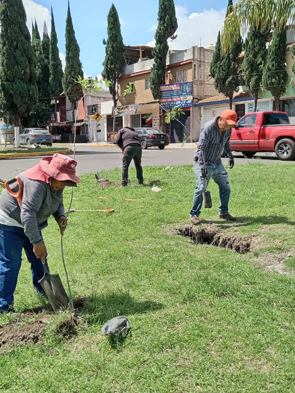 Avanza Gobierno de Pepe Chedraui en la reforestación con la plantación de más de 9 mil árboles